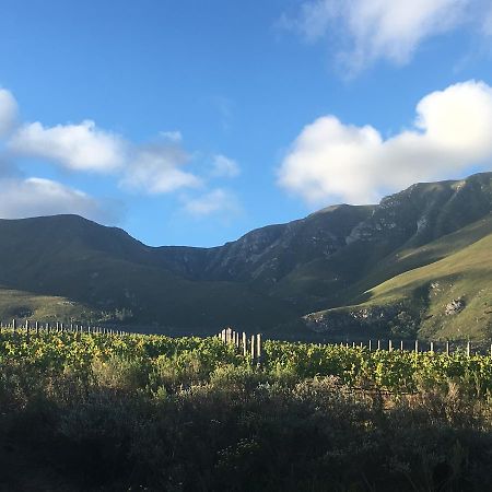Misty Mountains Villa Hermanus Exterior photo