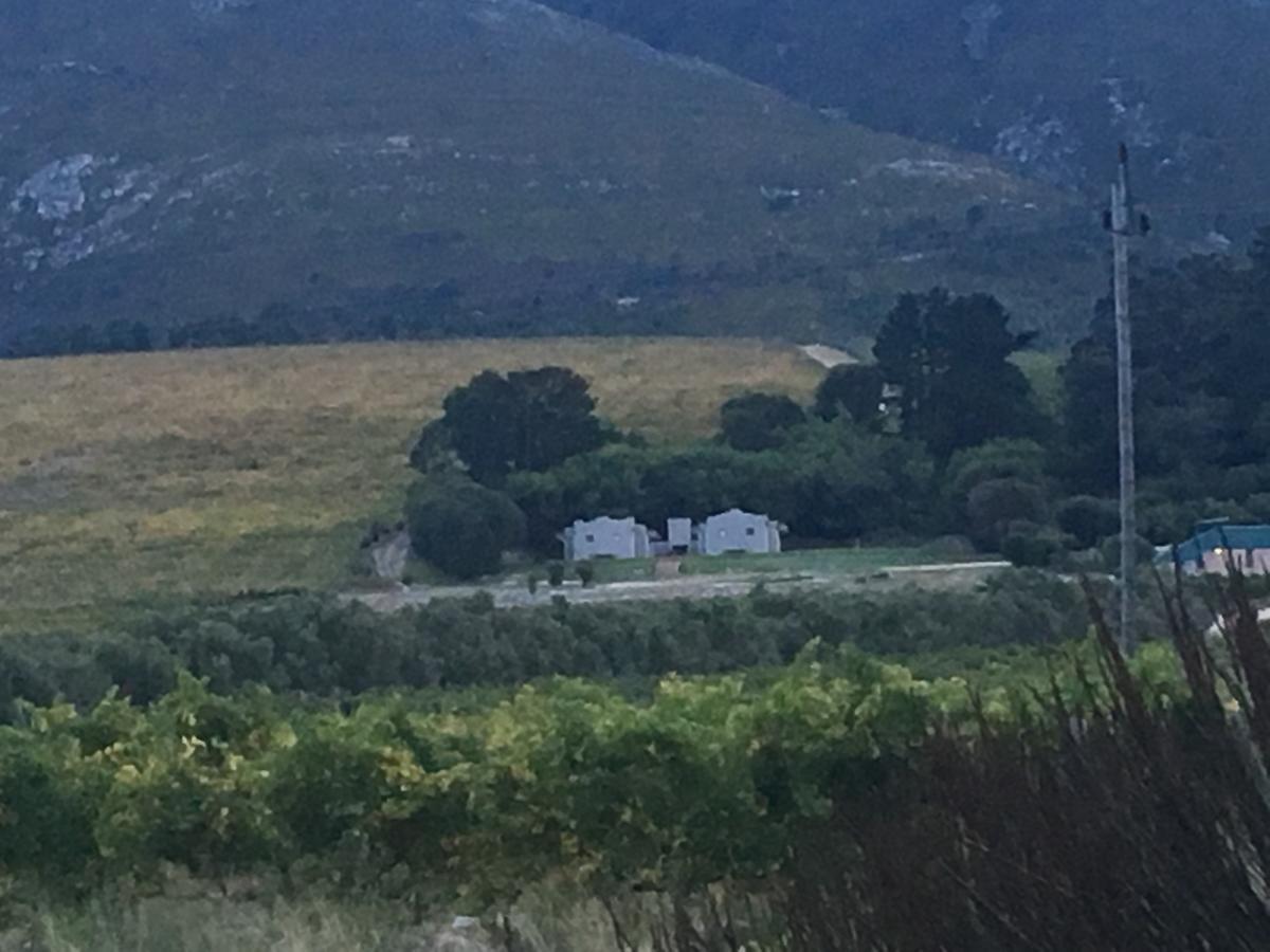 Misty Mountains Villa Hermanus Exterior photo